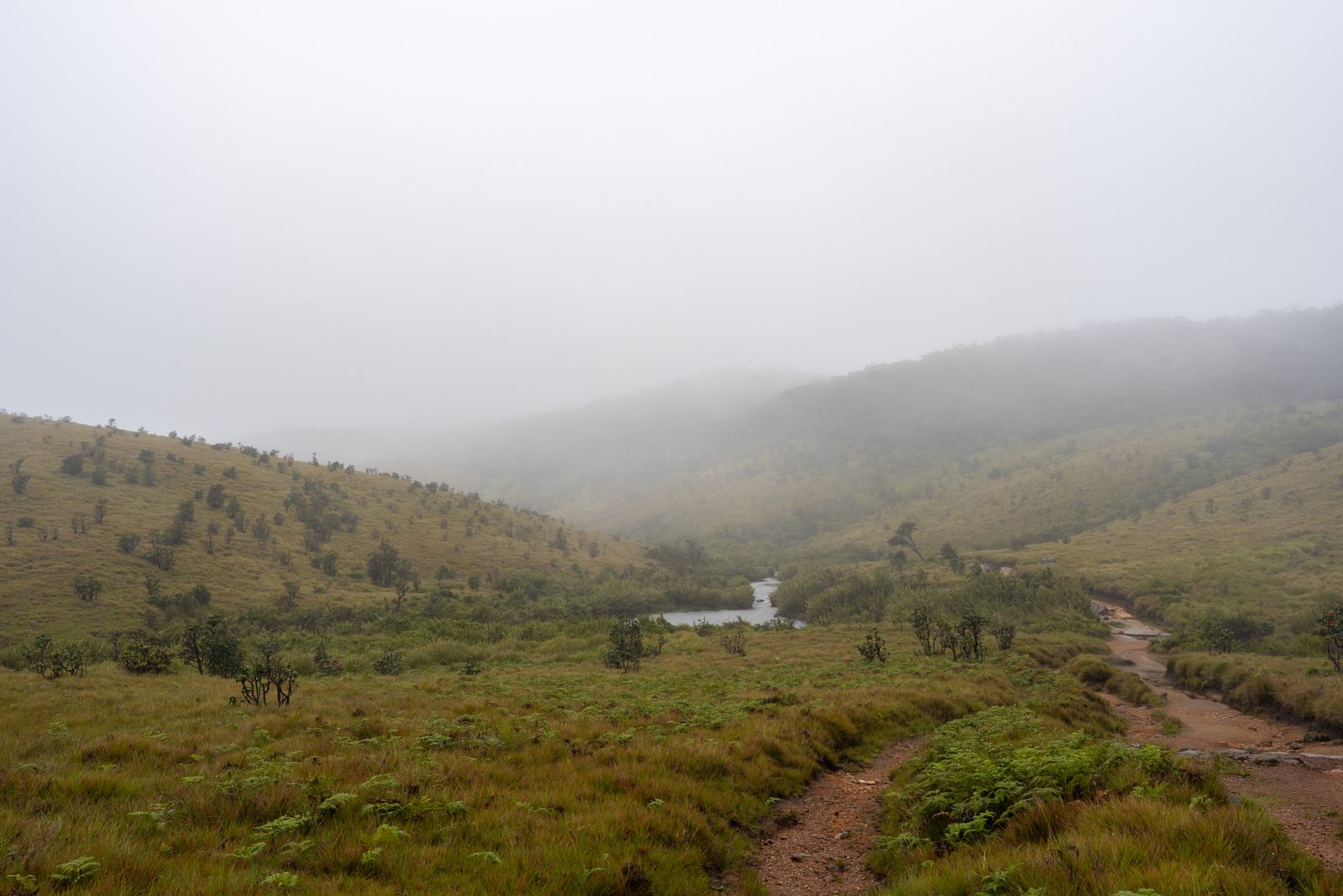 Horton Plains & World's End
